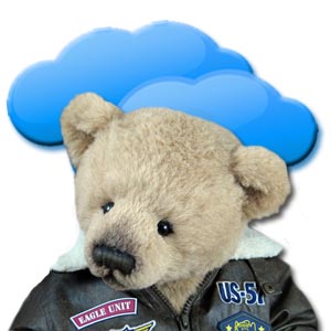 bear in fighter jacket